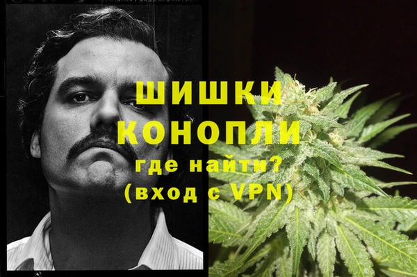 молекула духа Михайловск