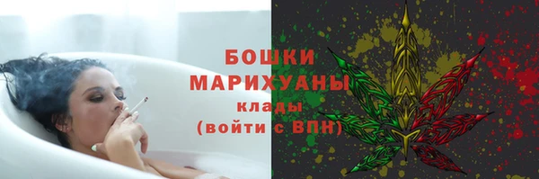 молекула духа Михайловск