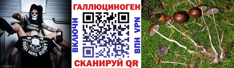 Псилоцибиновые грибы ЛСД  Очёр 